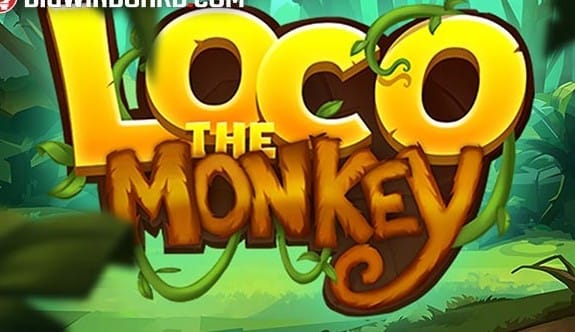 Loco The Monkey